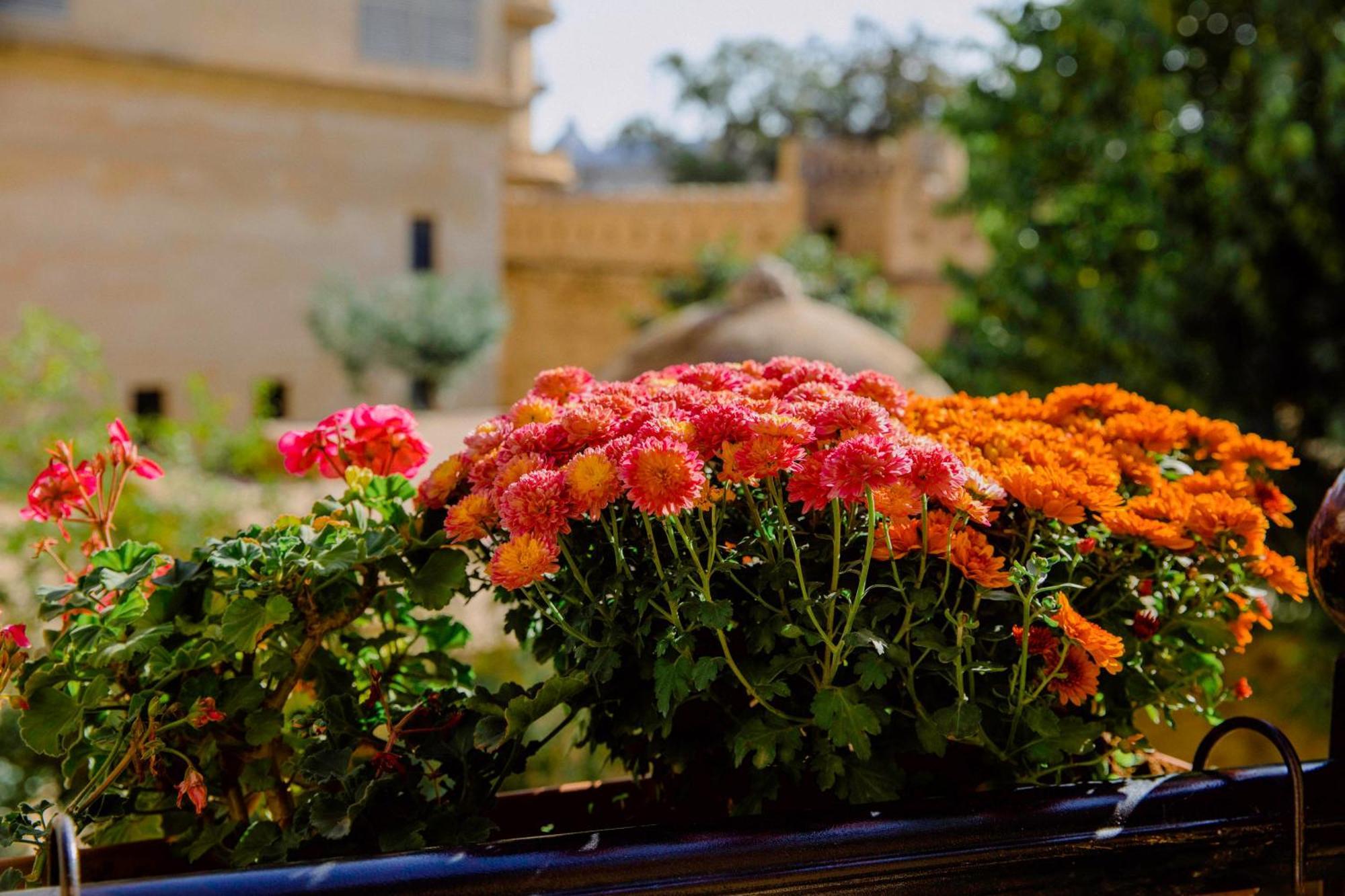 Royal Antique Boutique Hotel Bakü Dış mekan fotoğraf